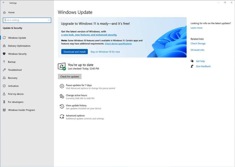Cómo Actualizar Gratis De Windows 10 A Windows 11 5829